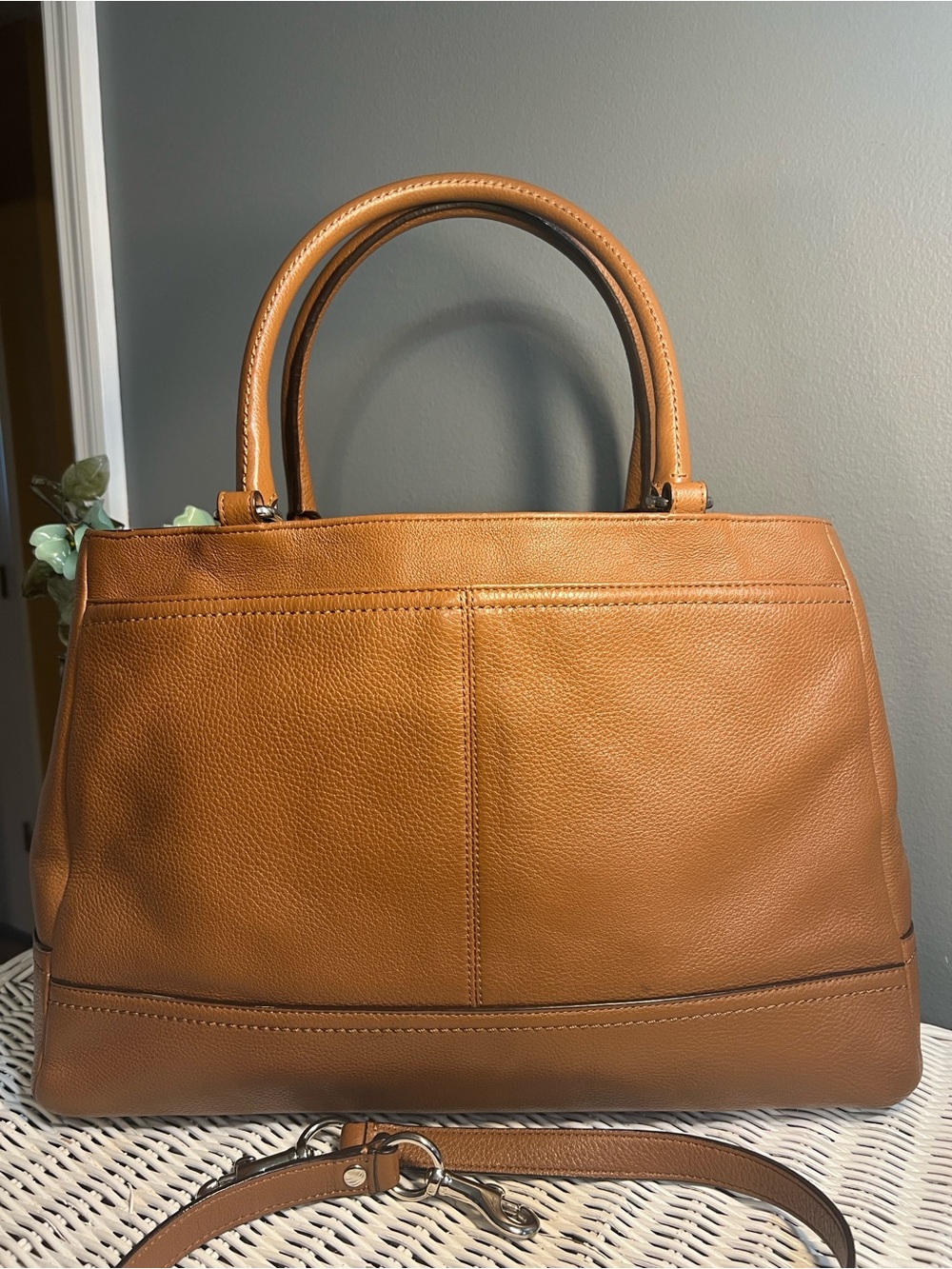 Coach Park Carryall Bag - Picture 5 of 16